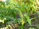 BILD9653