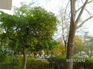 BILD1208