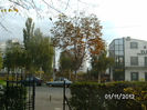 BILD1209
