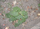 BILD0577