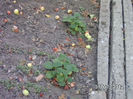 BILD0532