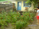 BILD0537