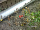 BILD0538