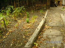 BILD0539