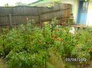 BILD0542