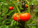 BILD0545