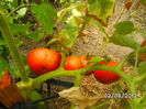 BILD0548