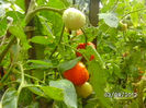 BILD0553
