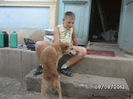 BILD0562