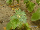 BILD0611