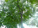 BILD0612