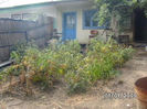 BILD0613