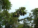 BILD0617