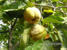BILD0619