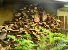 BILD0624