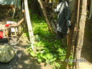 BILD0072