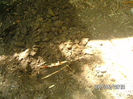 BILD0006