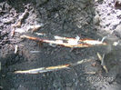 BILD0008