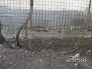 BILD0011