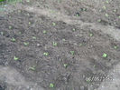 BILD0016