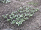 BILD0017