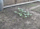 BILD0018
