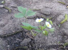 BILD0020