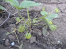 BILD0021