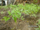 BILD0023