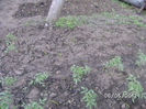 BILD0024