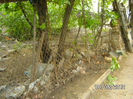 BILD0033