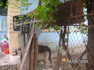 BILD0040