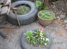 BILD0046