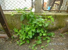 BILD0049