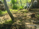 BILD0060