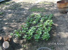 BILD0061