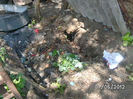 BILD0066