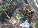 BILD0067