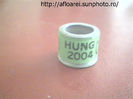 hung 2004