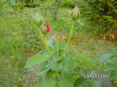 BILD0081