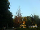 BILD0085