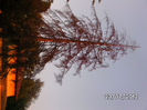 BILD0086