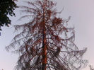 BILD0087
