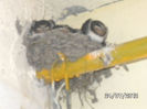 BILD0105