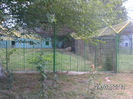 BILD0113