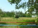 BILD0114