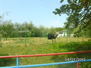 BILD0116