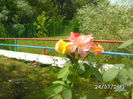 BILD0117
