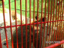 BILD0146