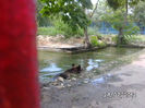 BILD0152